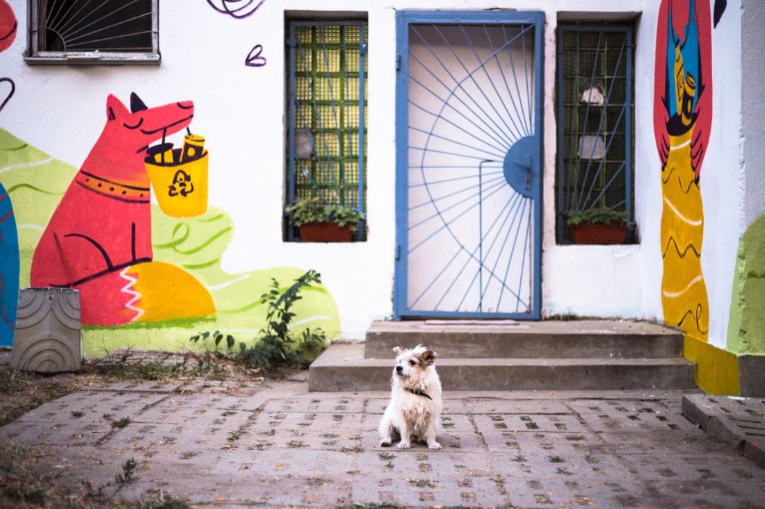 The Spot Placemaking Bulgaria