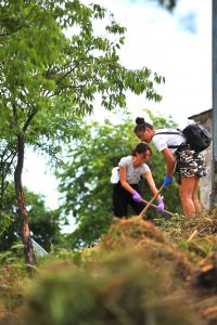 облагородяване