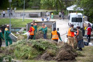 облагородяване