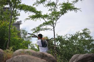 облагородяване