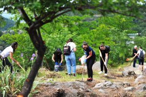 облагородяване